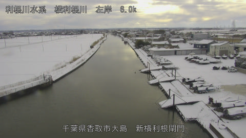 yoko2026020816_image