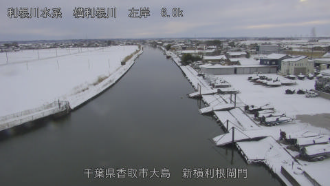 yoko2026020817_image