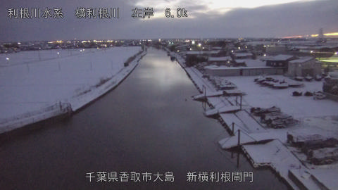 yoko2026020818_image