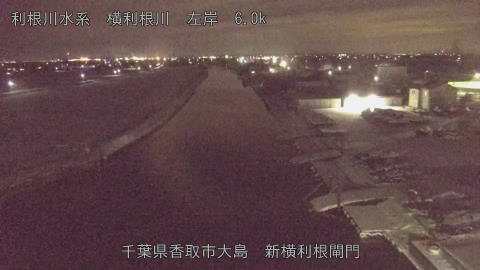 yoko2026020821_image