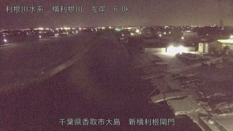 yoko2026020822_image