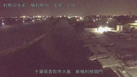 yoko2026020823_image