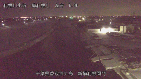 yoko2026020902_image