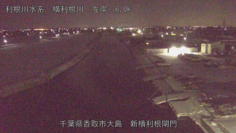 yoko2026020903_image