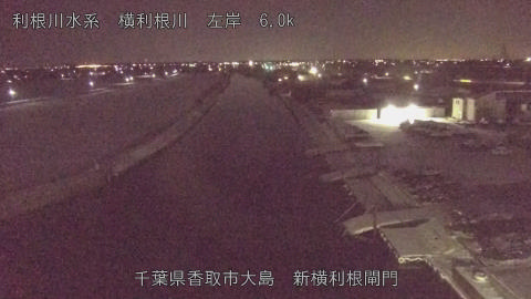 yoko2026020905_image