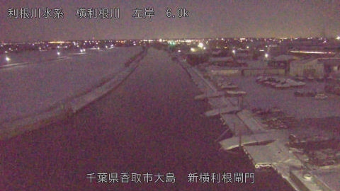 yoko2026020906_image