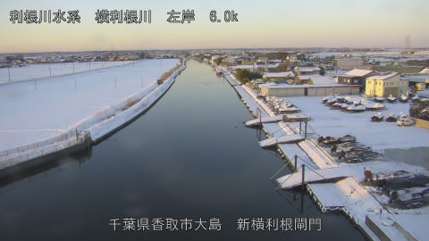 yoko2026020907_image