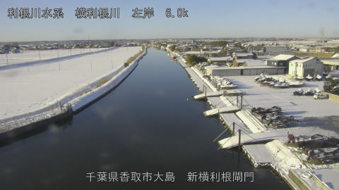 yoko2026020908_image