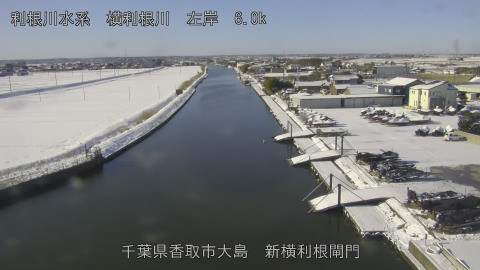 yoko2026020909_image