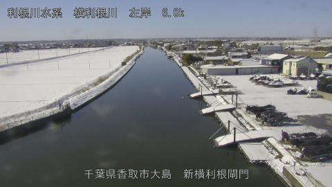 yoko2026020910_image