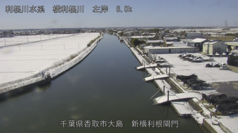 yoko2026020911_image