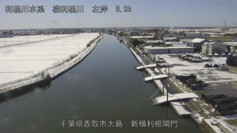 yoko2026020912_image