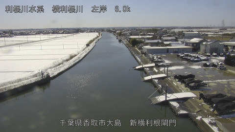 yoko2026020913_image