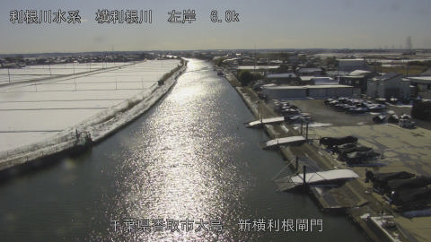 yoko2026020914_image