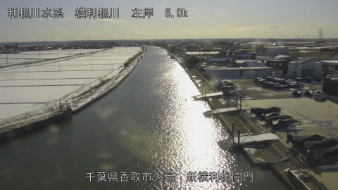 yoko2026020915_image