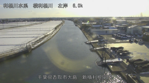 yoko2026020916_image