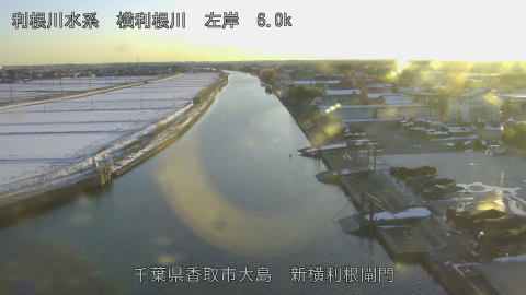 yoko2026020917_image