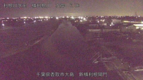 yoko2026020919_image