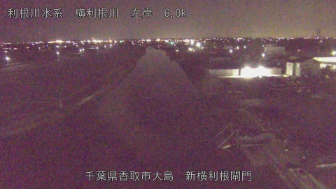 yoko2026020921_image