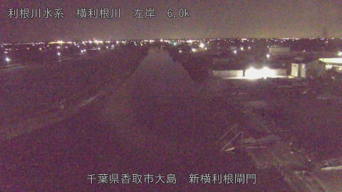 yoko2026020922_image