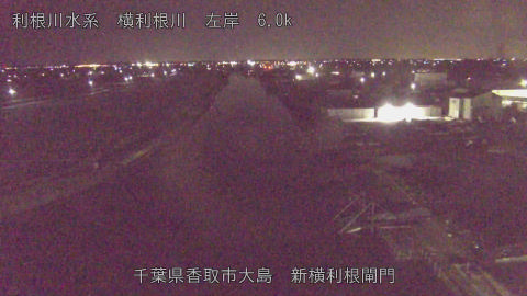 yoko2026021000_image