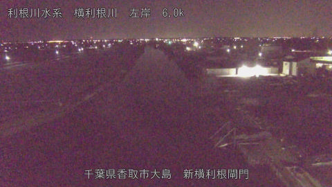 yoko2026021001_image