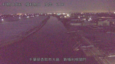 yoko2026021006_image