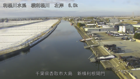 yoko2026021008_image