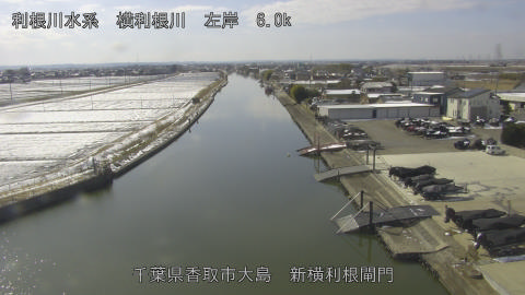 yoko2026021012_image