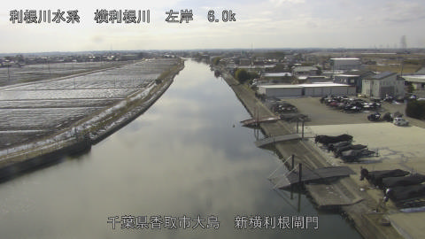 yoko2026021013_image