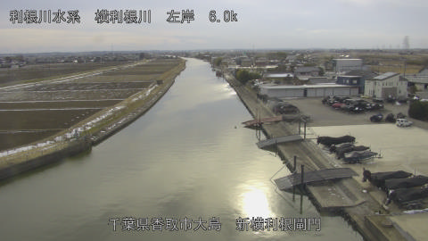 yoko2026021015_image