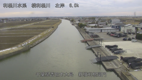 yoko2026021016_image