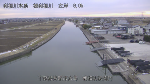 yoko2026021017_image