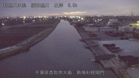 yoko2026021018_image