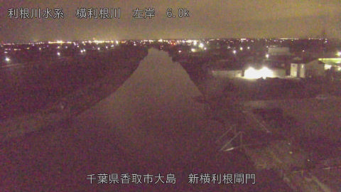 yoko2026021021_image