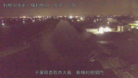 yoko2026021022_image