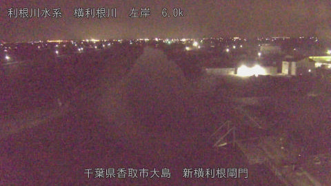 yoko2026021100_image