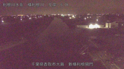 yoko2026021102_image