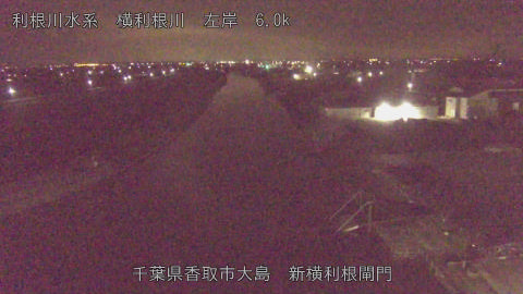 yoko2026021104_image