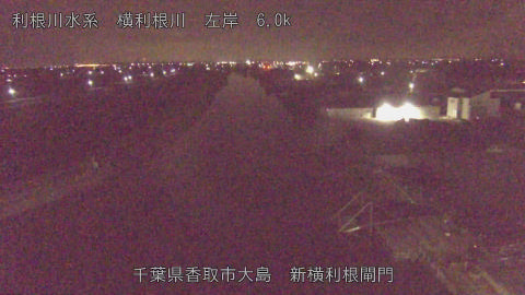 yoko2026021105_image