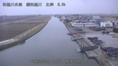 yoko2026021107_image