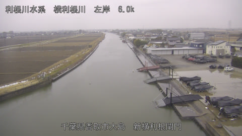 yoko2026021108_image