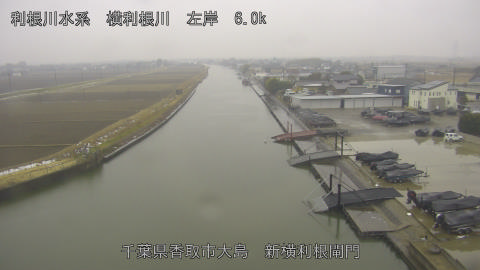 yoko2026021109_image