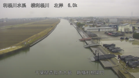 yoko2026021111_image