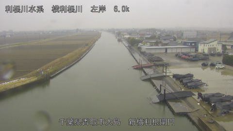 yoko2026021112_image