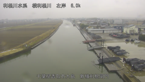 yoko2026021113_image