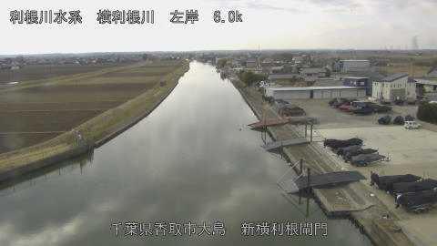 yoko2026021212_image