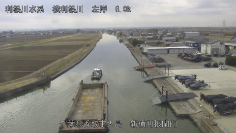 yoko2026021312_image