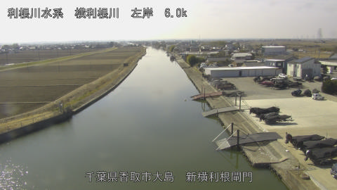 yoko2026021412_image