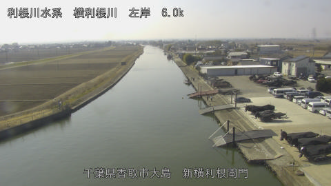 yoko2026021512_image